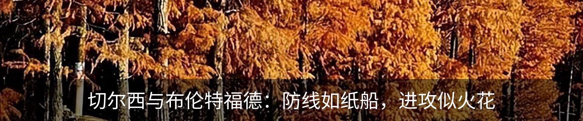 资讯动态